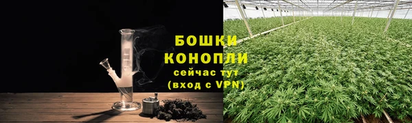 гидропоника Рославль