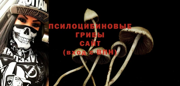 ECSTASY Абинск