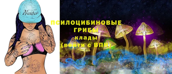 гидропоника Рославль
