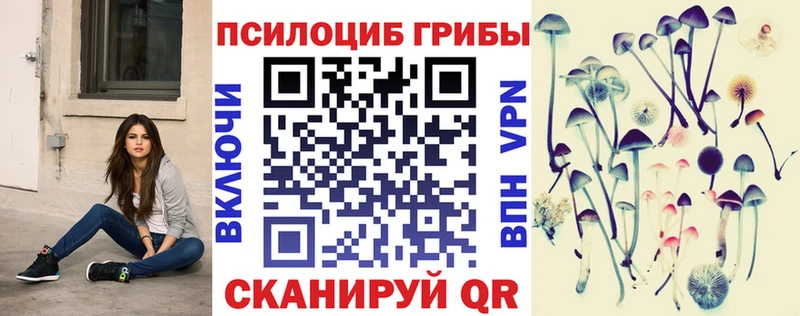 Галлюциногенные грибы Psilocybine cubensis  Злынка 